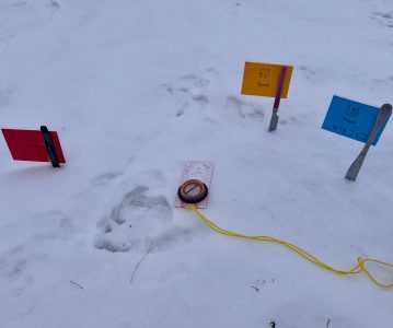 Na Marušce v Mařenicích